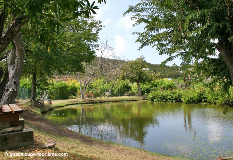 THE POND OF THE BIG HOLE