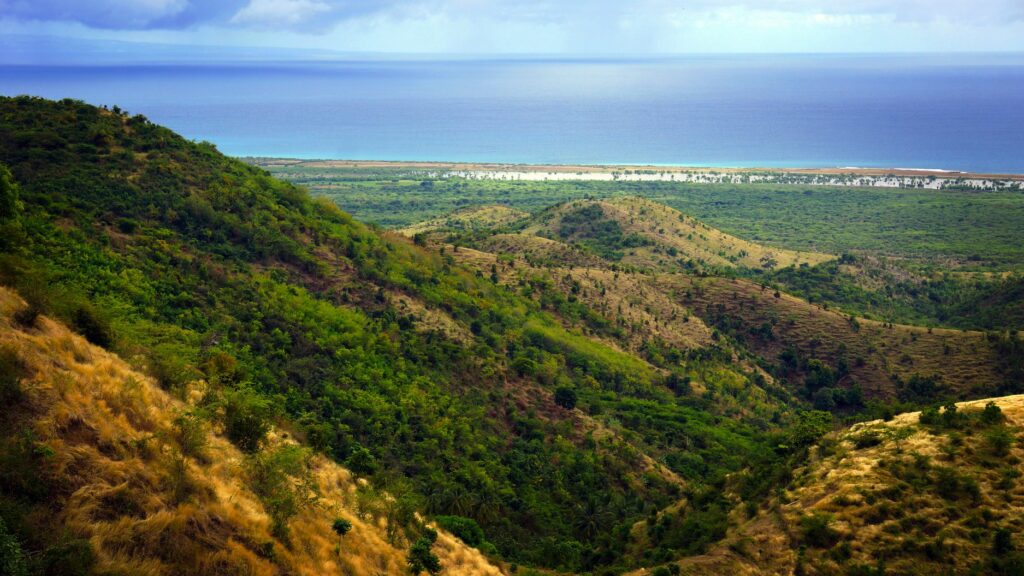 La Cahouane 1