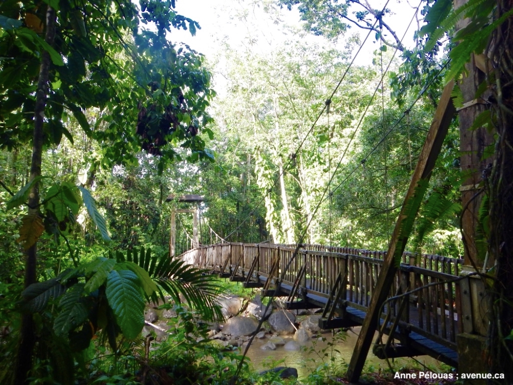 Sentier de la Maison de la Forêt