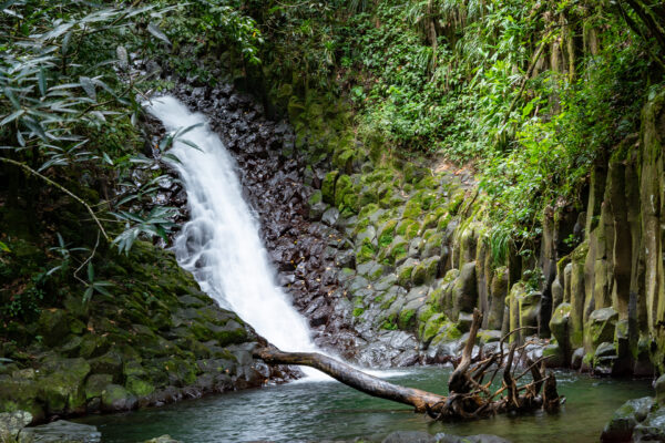 Cascade Paradis