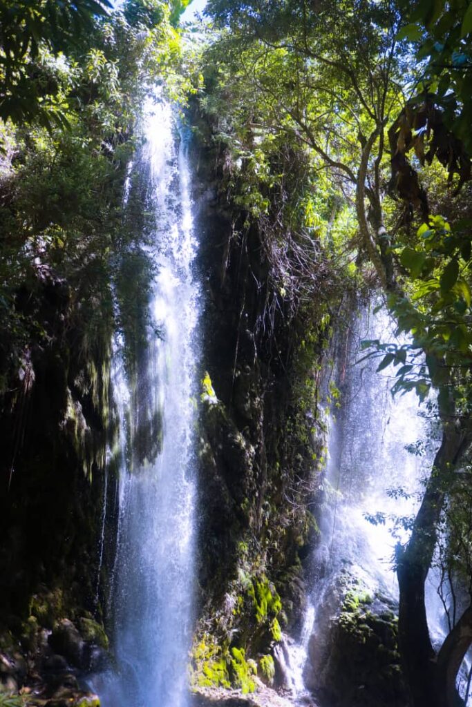 Cascade Saut-d'Eau 4