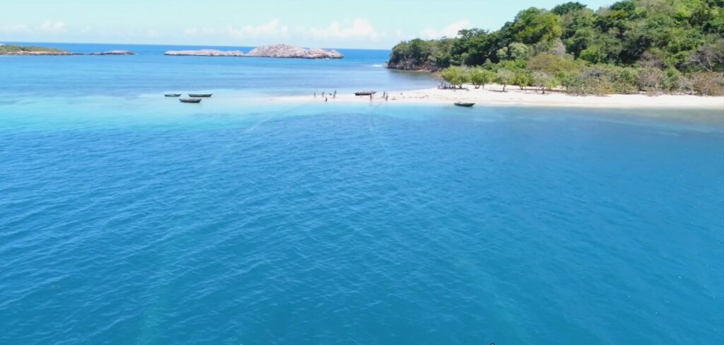 L’Île de la tortue