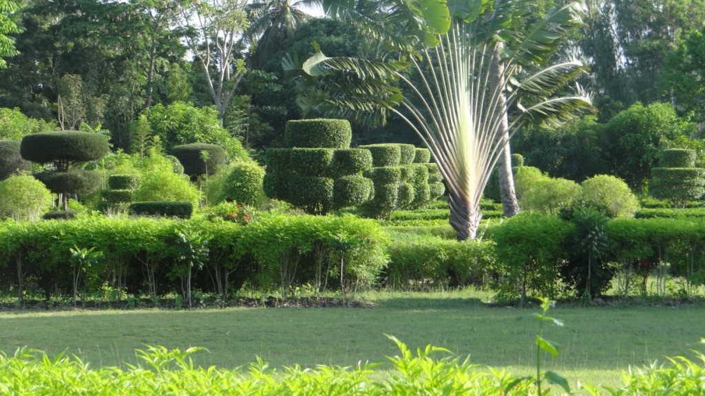 Jardin Botanique des Cayes 3