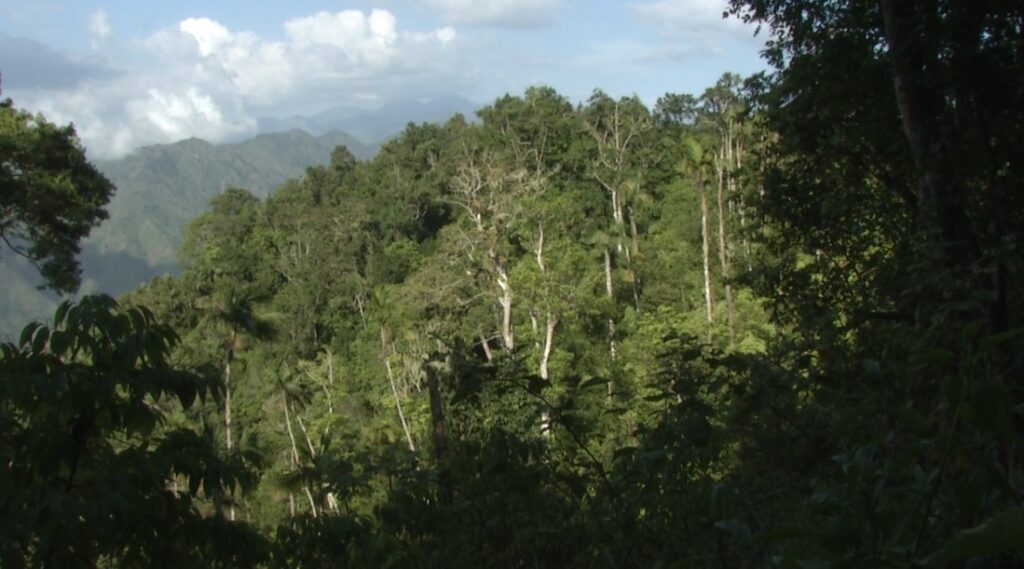 Parc national naturel de Grande Colline 2