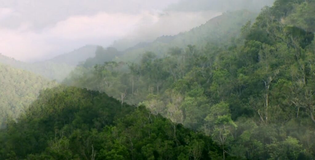 Parc national naturel de Grande Colline 4